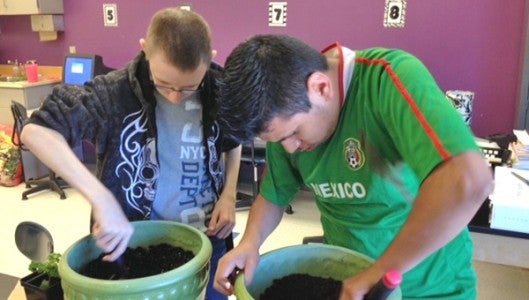 Eighth grade students Adam Elder and Felix Molina work together to prep pots for plants in class. (photos submitted by Sherrie Smith)