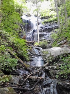 One of the Twin Falls to be seen on this Friday’s Pisgah National Forest hike with PAC. (photo by Pam Torlina) 