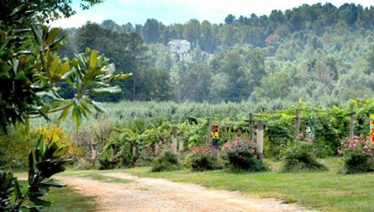 MARKET-PLACE---PARKER-BINNS-WNC-Mountain-wine-trail_ParkerBinnsBW