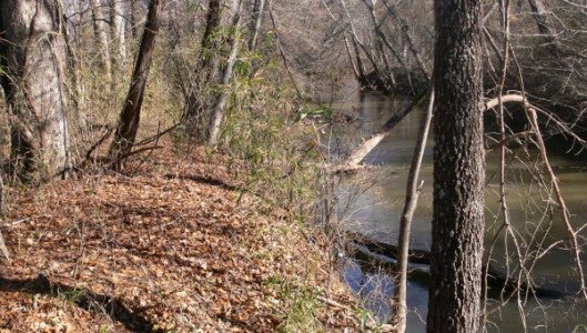 N. Pacolet River (Photo by Pam Torlina)