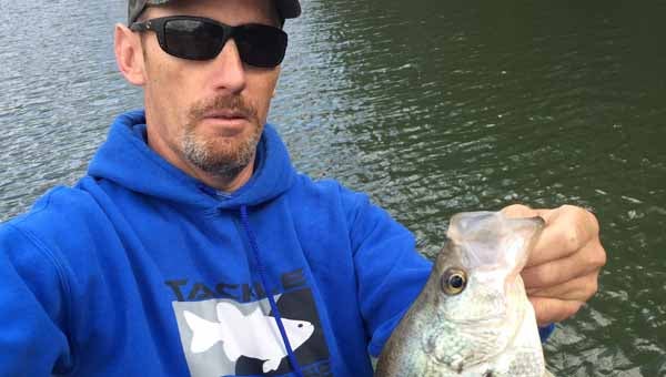 Crappie tactics, lures, trolling methods - The Tryon Daily Bulletin