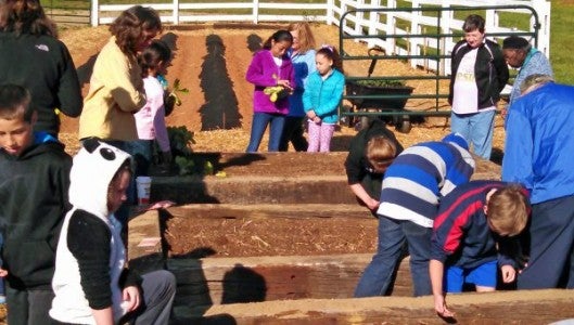 Unify Project students work to plant a garden at The Meeting Place.