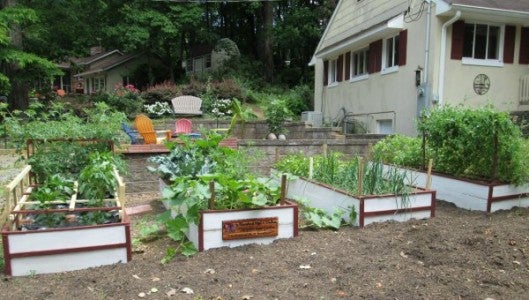 Raised garden beds contain tomatoes, potatoes, beans, peas, peppers, roses and more.