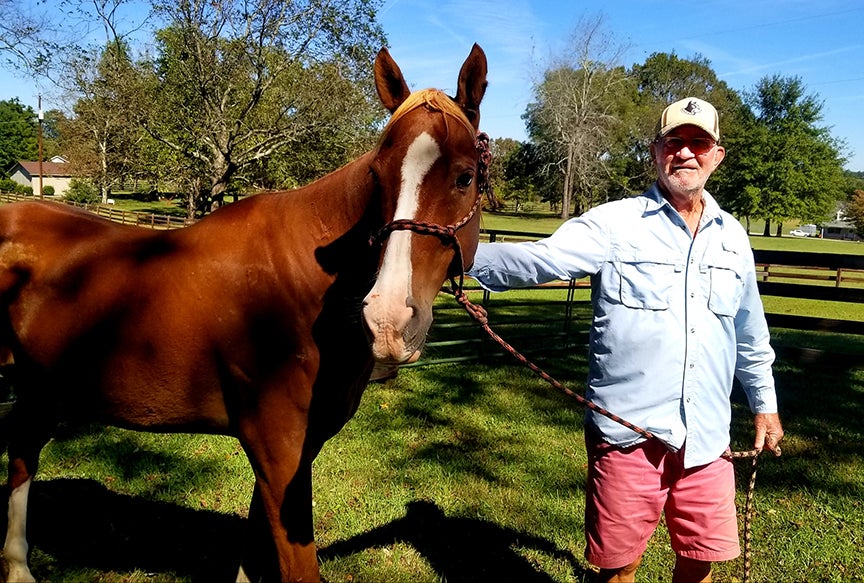 Pebbles: Some horses are just Plum Lucky - The Tryon Daily Bulletin