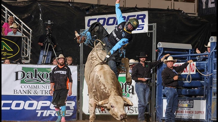 PBR Team Series coaches believe Carolina is the best in the league -  Professional Bull Riders