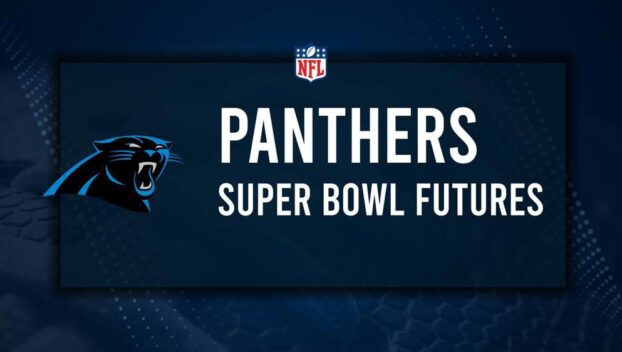 Carolina Panthers Super Bowl and NFL Playoff Odds