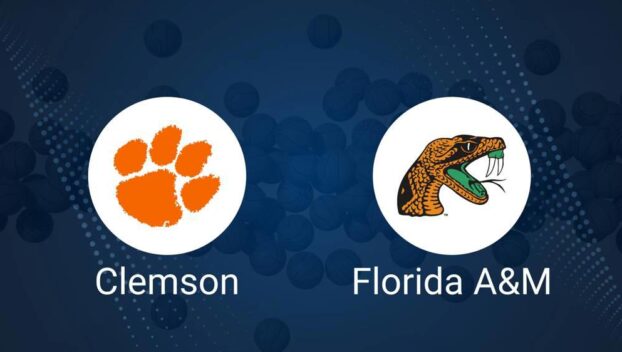 Clemson vs. Florida A&M Basketball Tickets - Friday, November 29