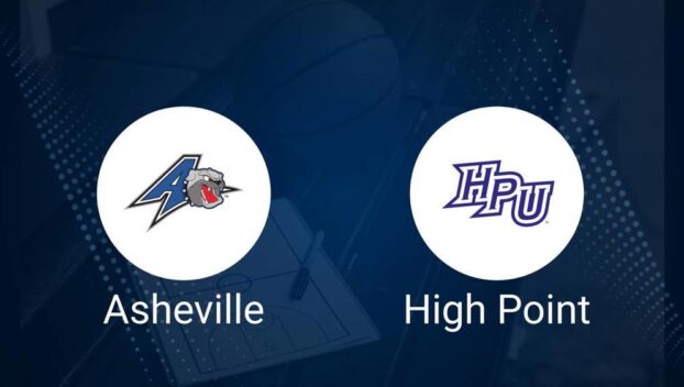 UNC Asheville vs. High Point Basketball Tickets - Saturday, January 4