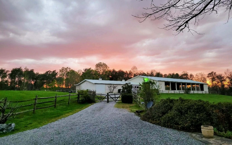 A Quiet Life With Wings – Wildlife Rehabilitator and artist Evangeline “Vange” LaMore